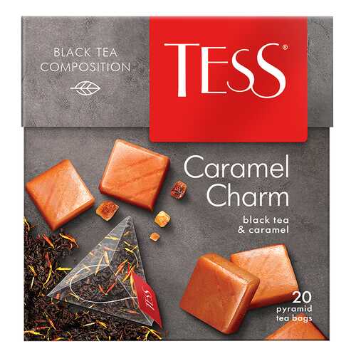 Чай черный в пирамидках Tess Caramel Charm 20 пакетиков в Народная Семья